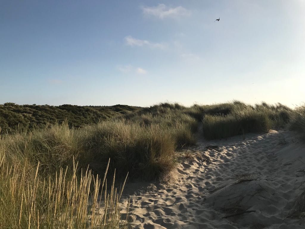 IMG-20180630-WA0013.jpg