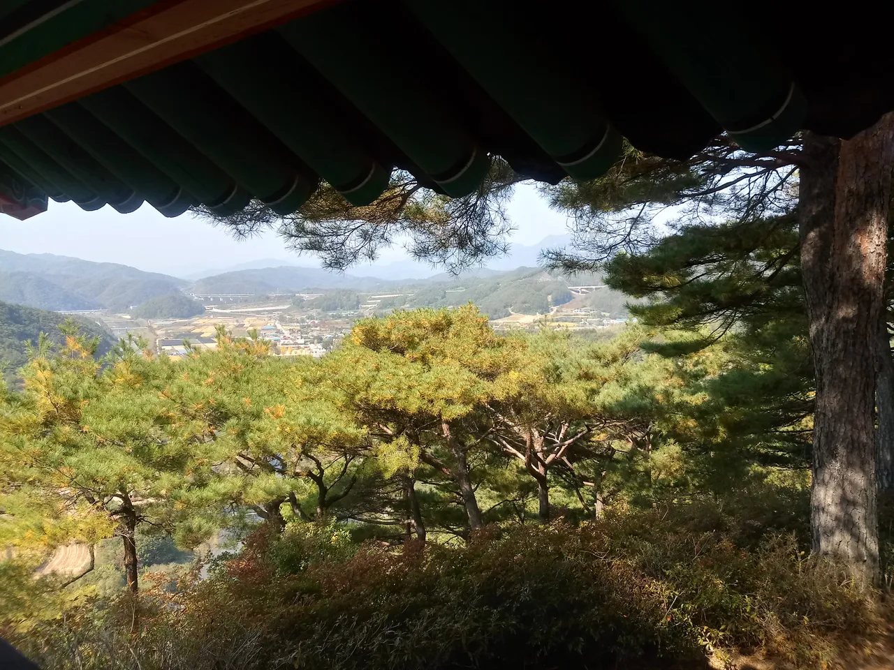 20181014_113840_HDR.jpg