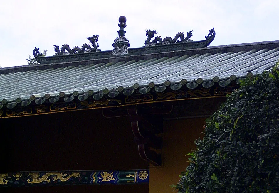 RIMG0204-vsshwa-cut.JPG