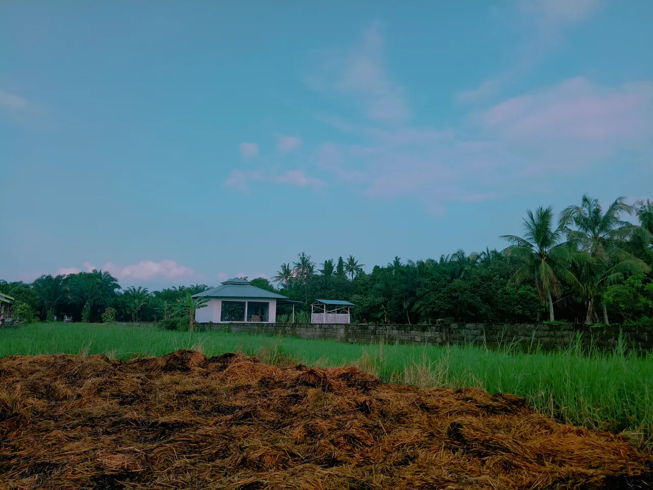 2019-10-17-09-52-15.jpg