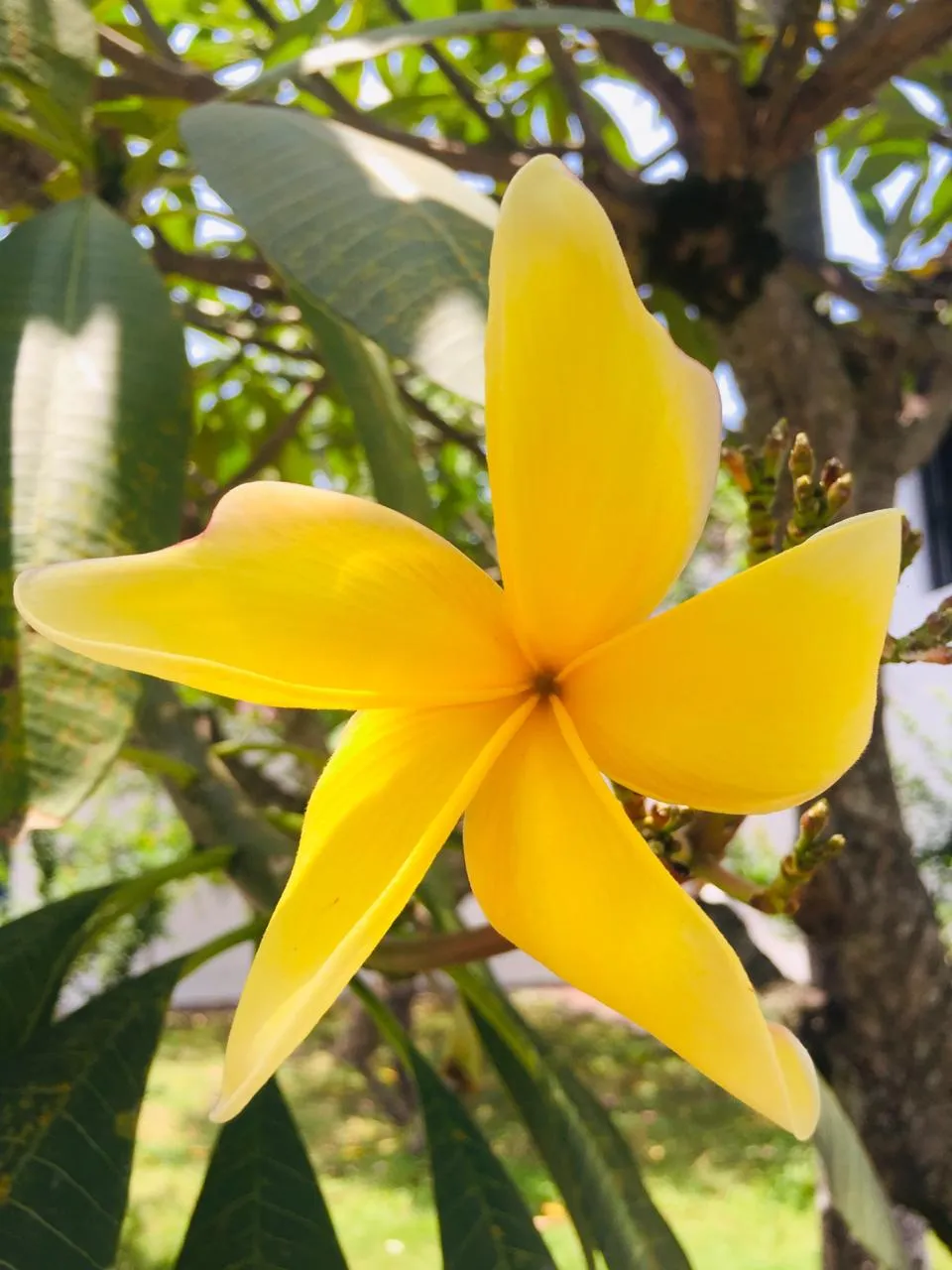IMG-20190407-WA0026.jpg