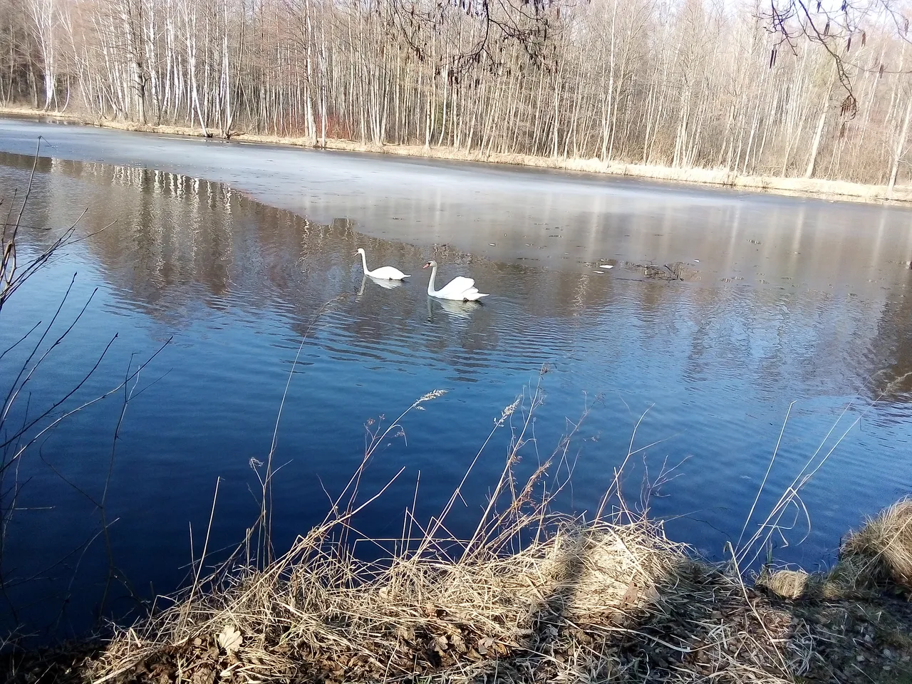 IMG_20190306_140501.jpg