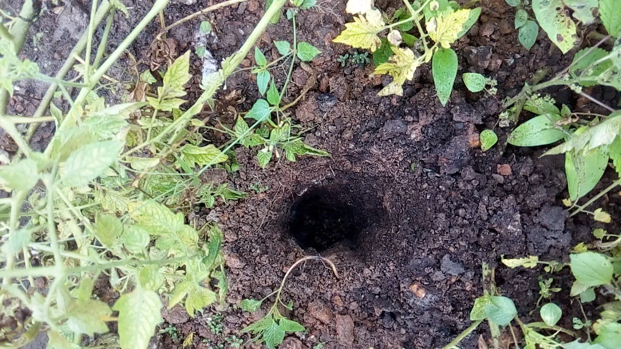 IMG_20180913_081352.jpg