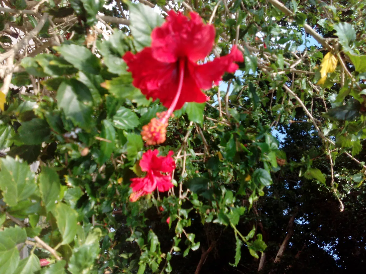 IMG_20190408_091013.jpg