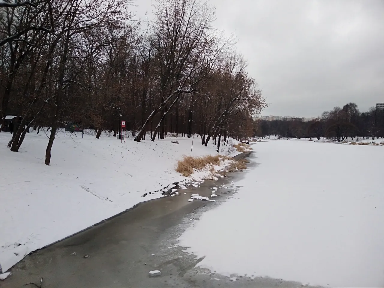 IMG_20181202_160051.jpg