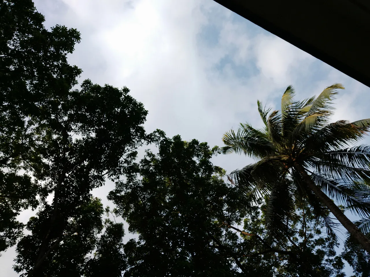 IMG_20180725_173100.jpg