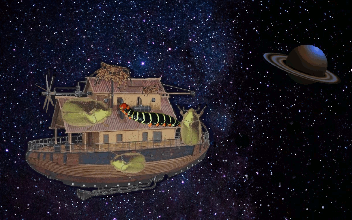 insect ship gif.gif