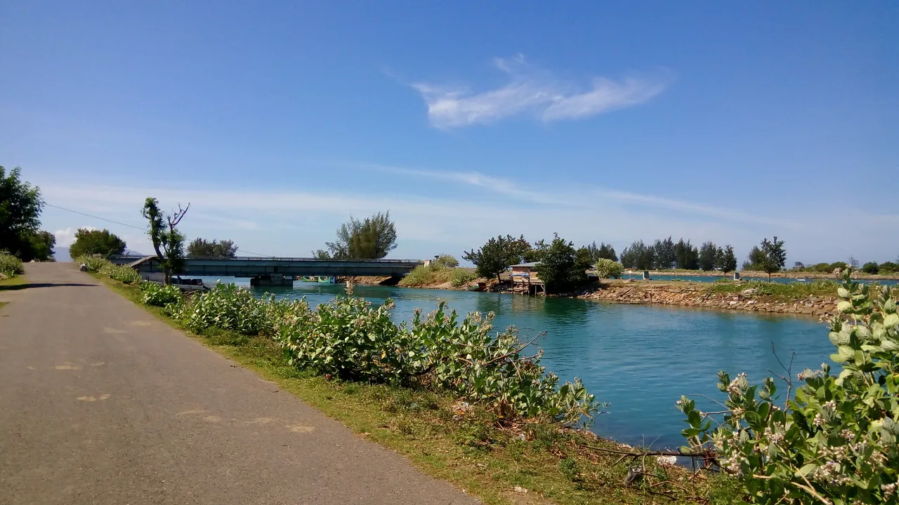 IMG_20160727_150456.jpg