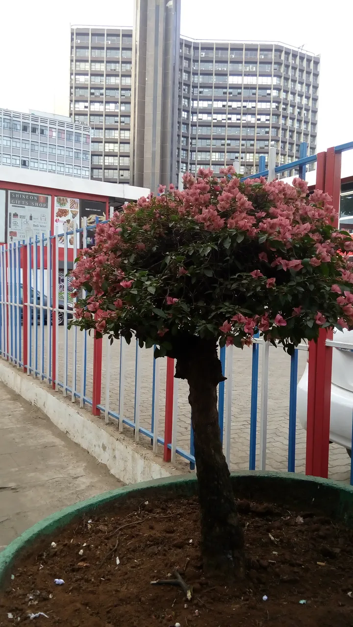 IMG_20190209_175704.jpg