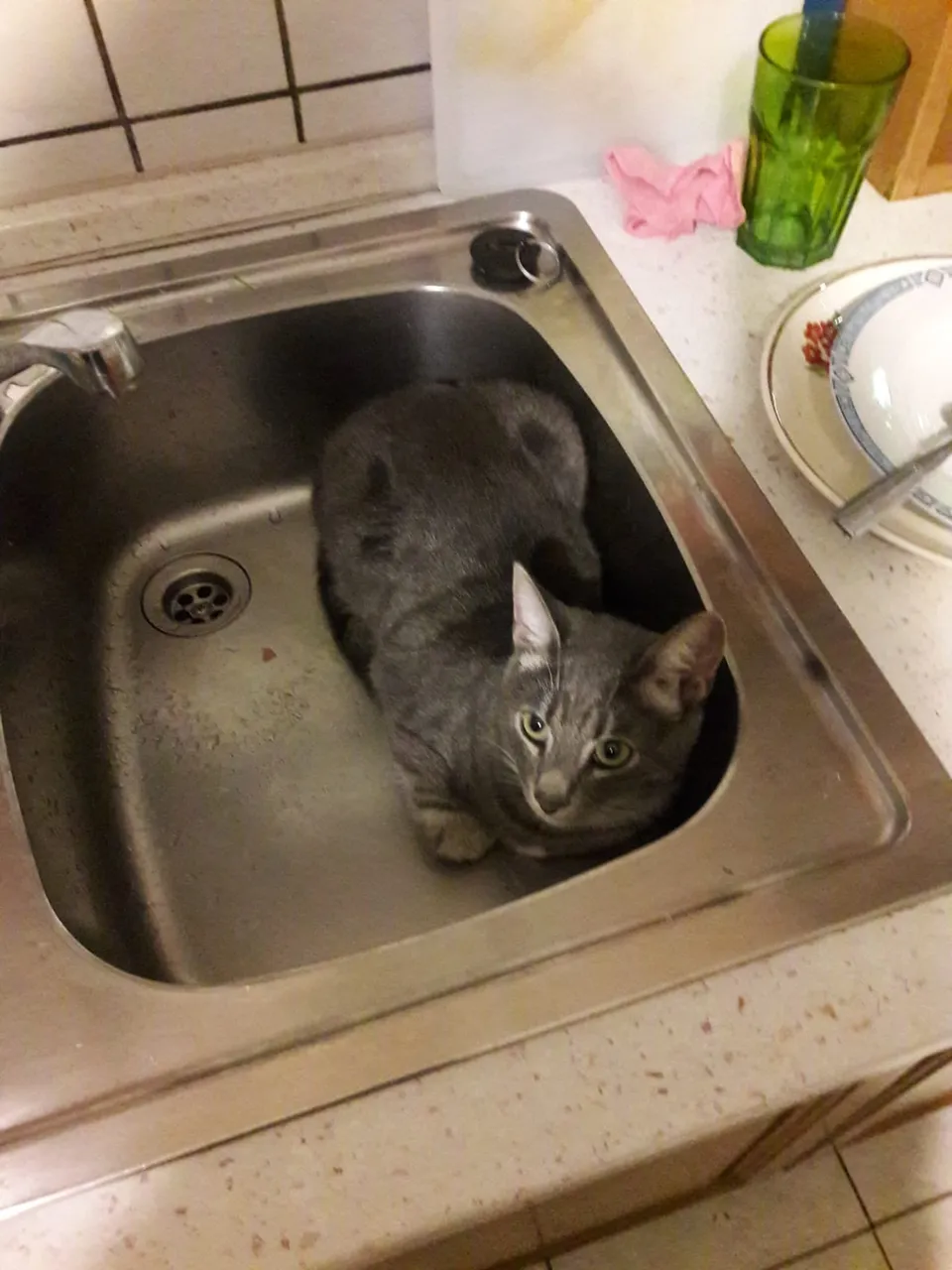 IMG-20181102-WA0002.jpg
