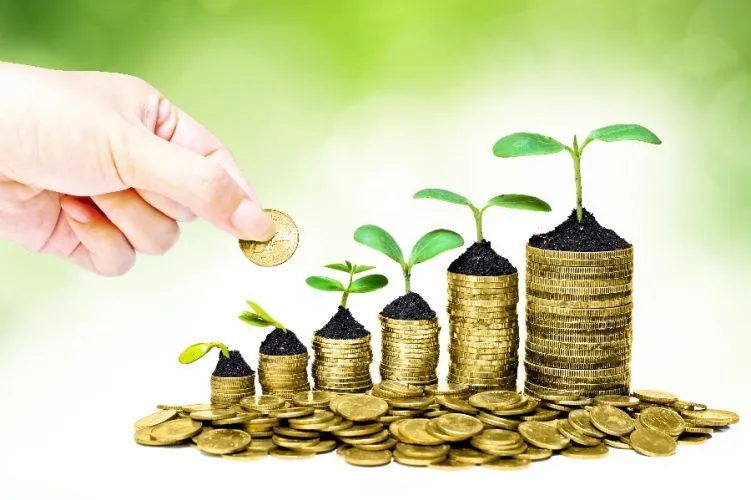 grow your money.jpg