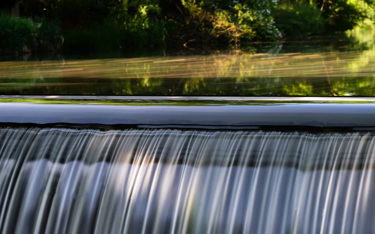 nature-3385860_1920.jpg