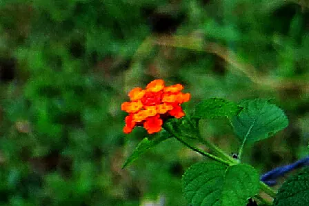 2019_12_05_10_29_25.png