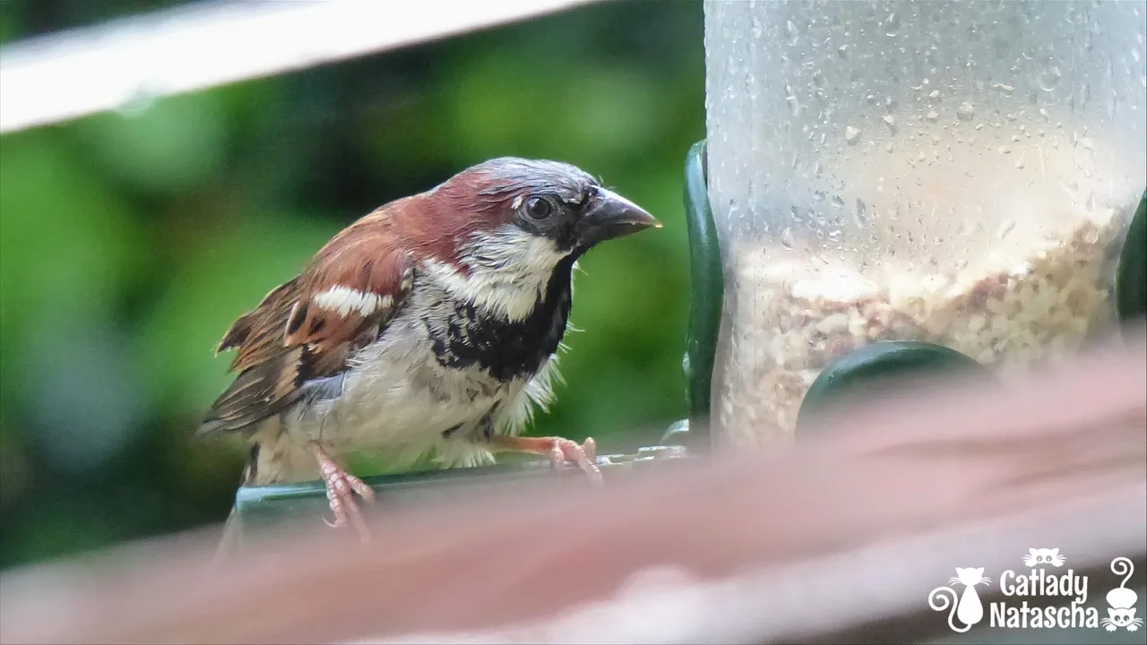 20-06-2019 17-16-01.jpg