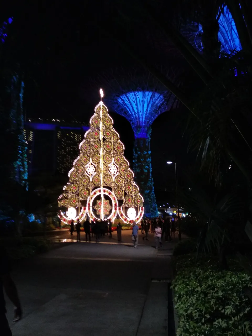 IMG_20181201_205625.jpg