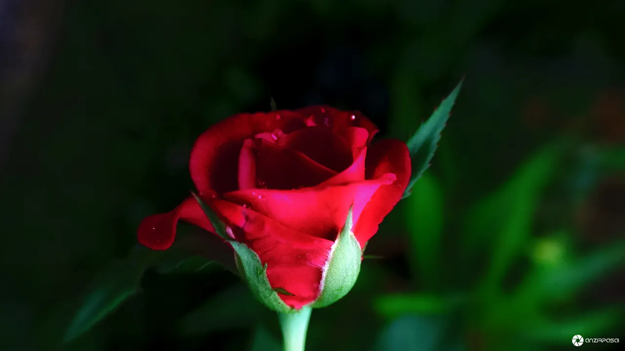 PSX_20180621_001504.jpg
