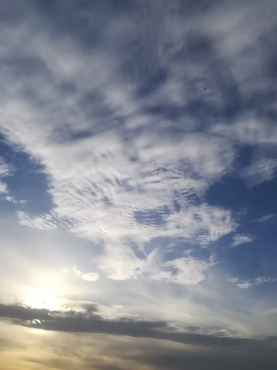 IMG_20180530_064306.jpg