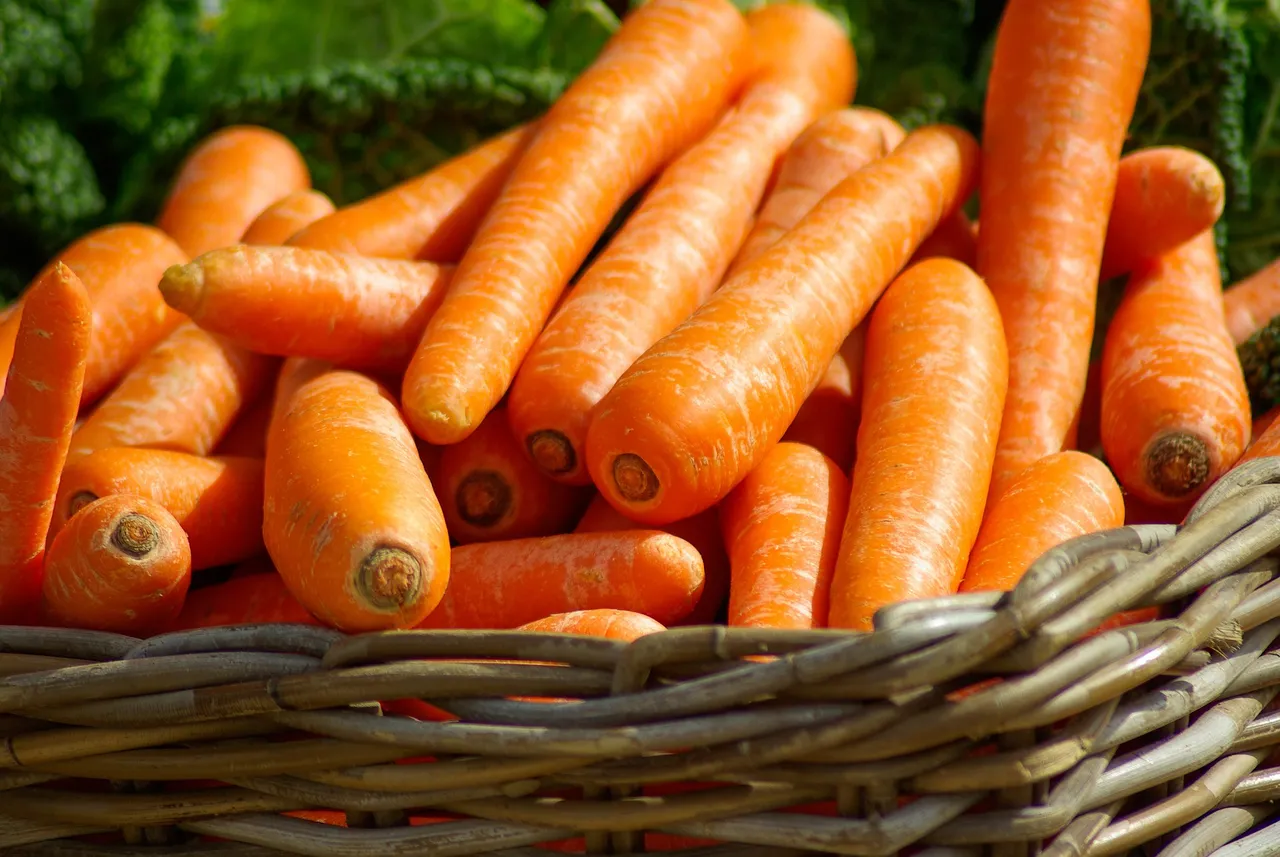 carrots-673184_1920.jpg