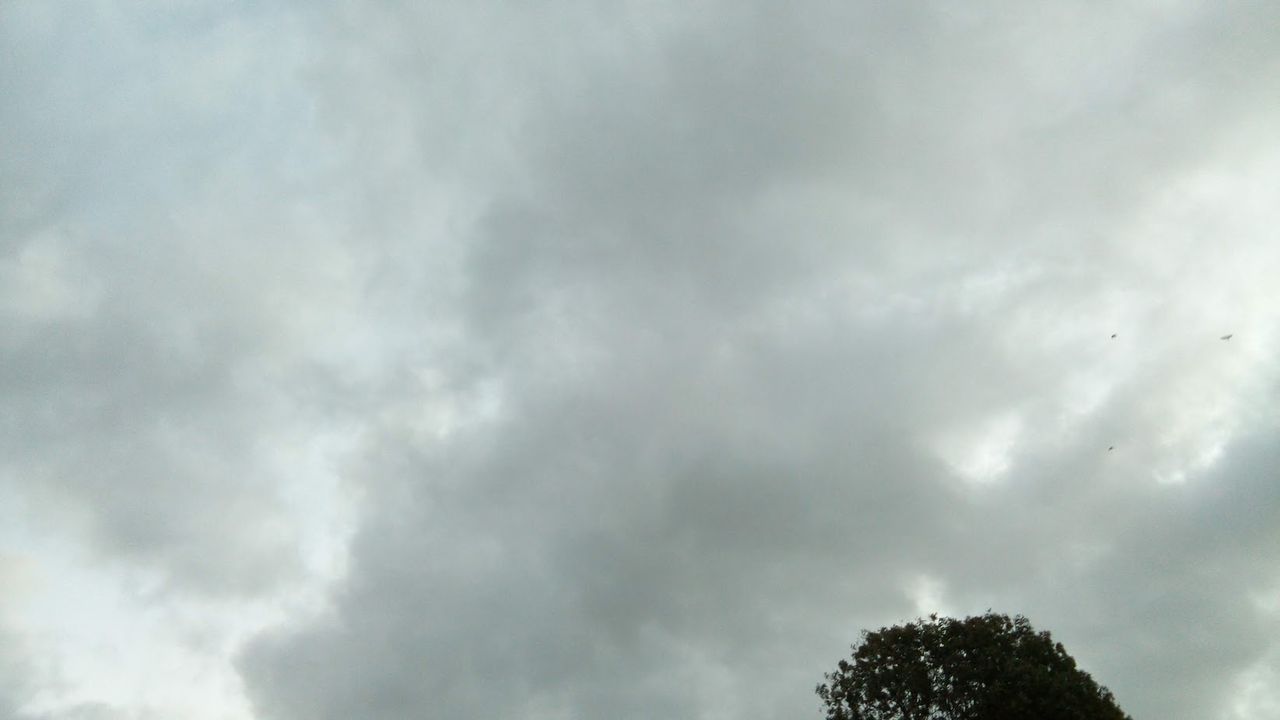 IMG_20181025_080507.jpg