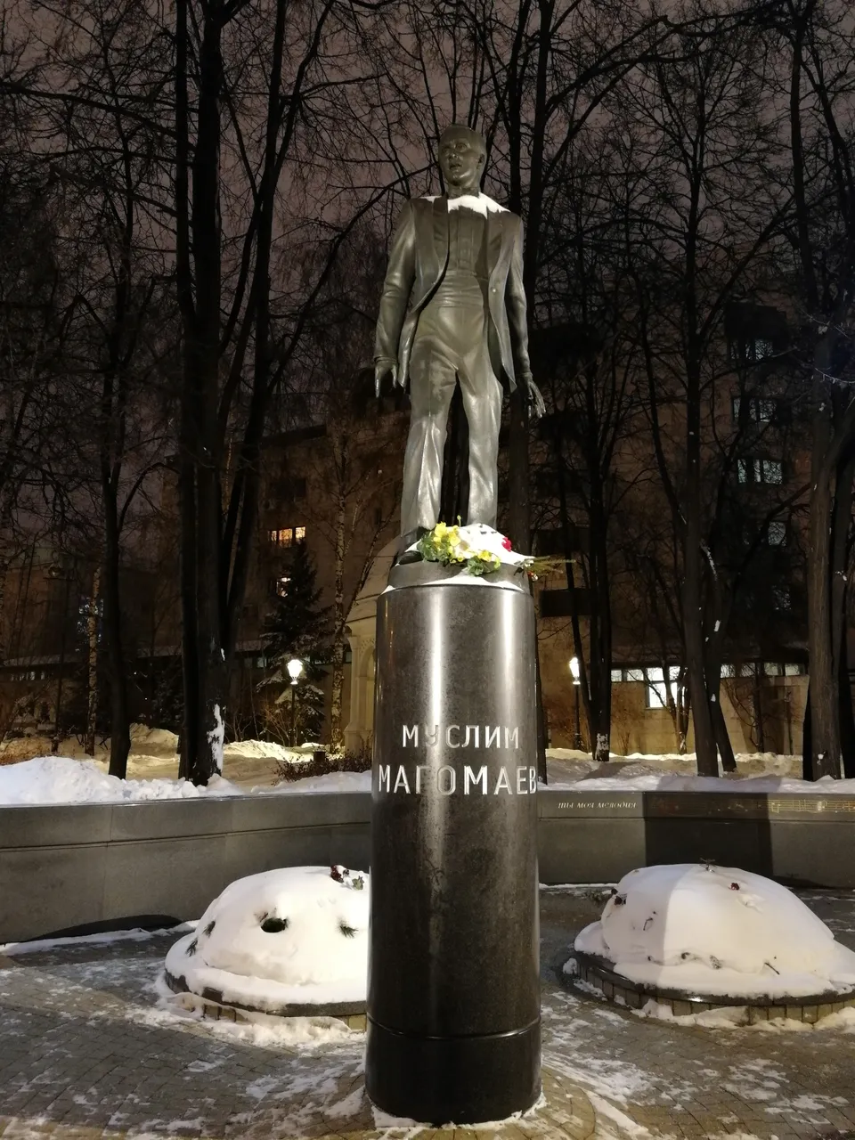 IMG_20190129_231212.jpg