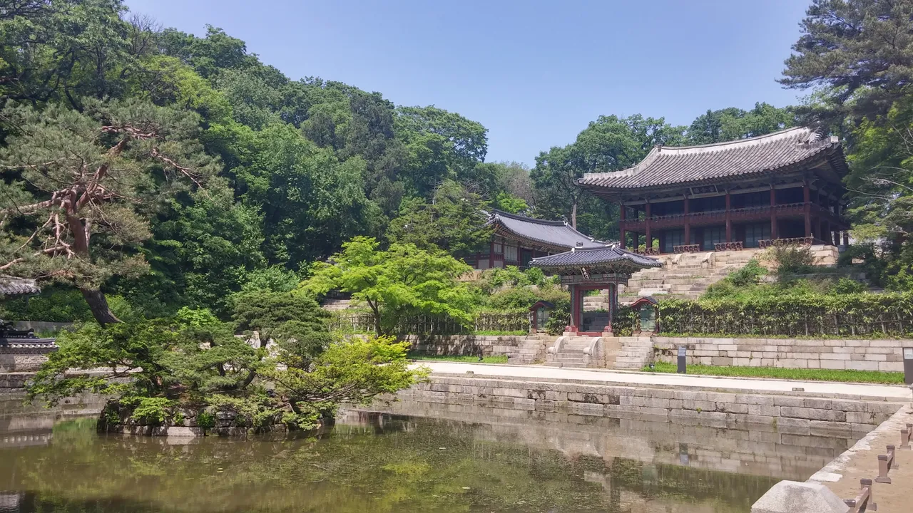 20160507_105521_HDR.jpg