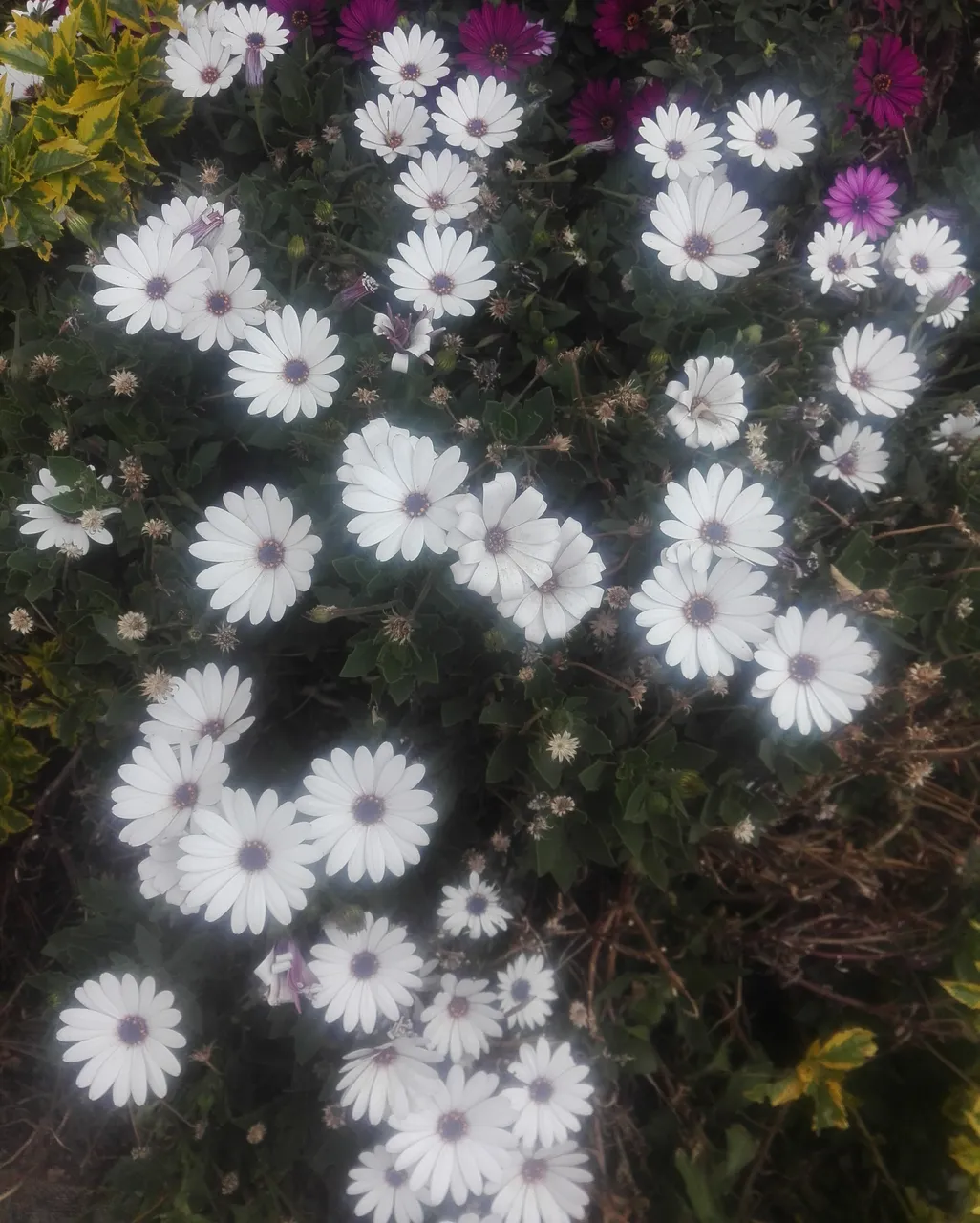 IMG_20191013_130826.jpg