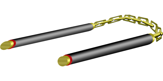 graphic-3364502_640.png