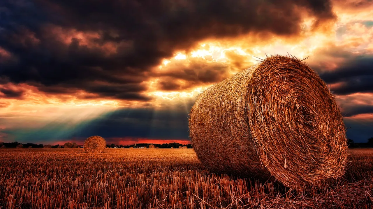 nature-3126513_1920.jpg