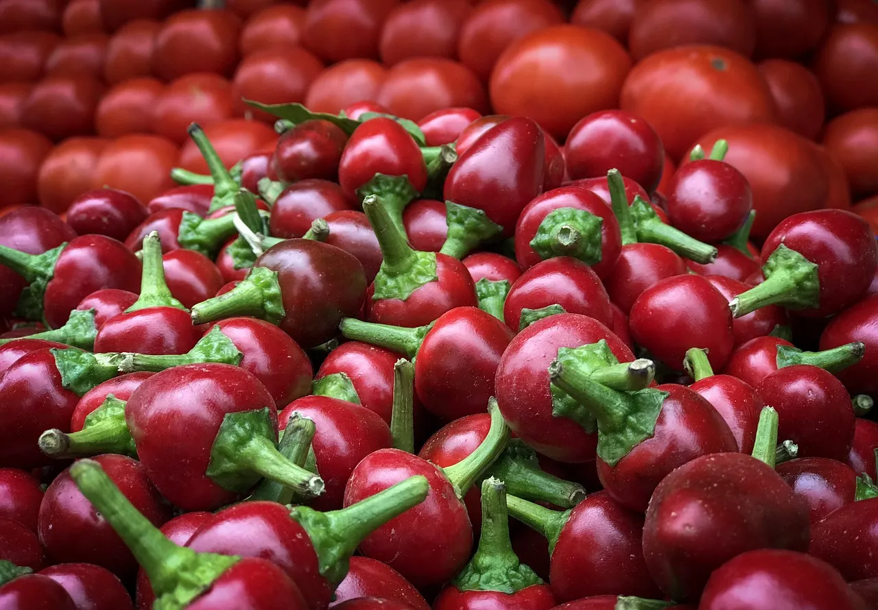 veggie-4440818_1280.jpg