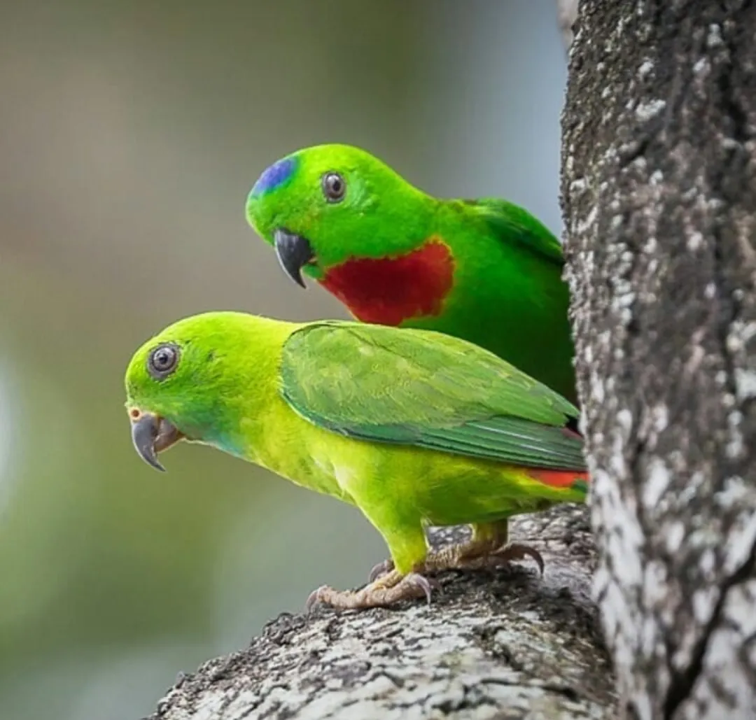 IMG_20190525_233945.png