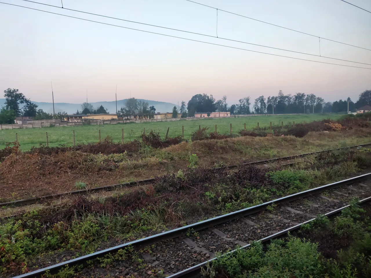 IMG_20180813_064302.jpg