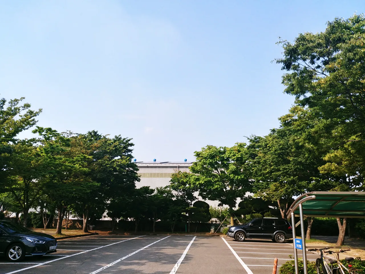 20190615_164439_HDR.jpg