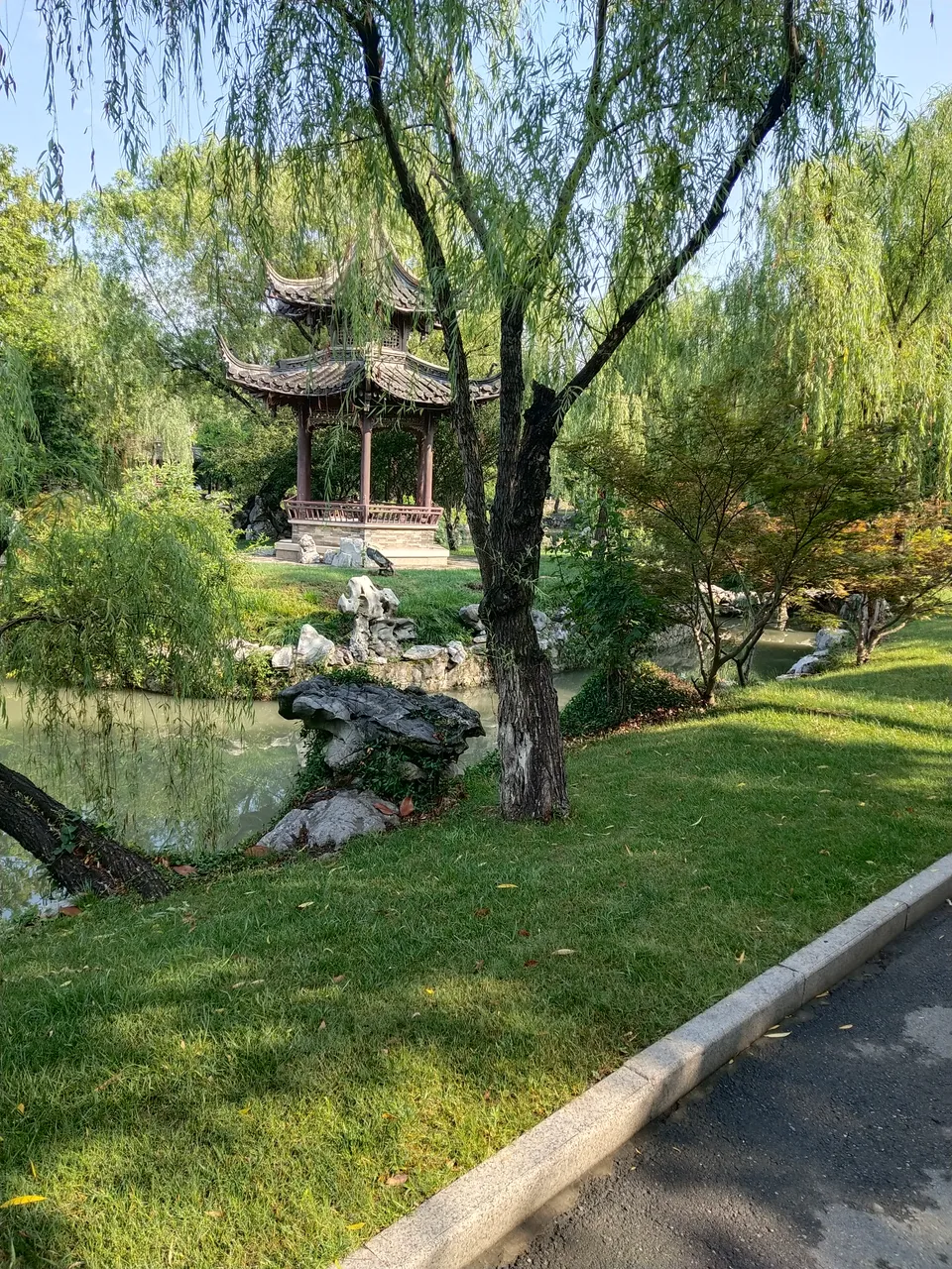 IMG_20180629_080341.jpg