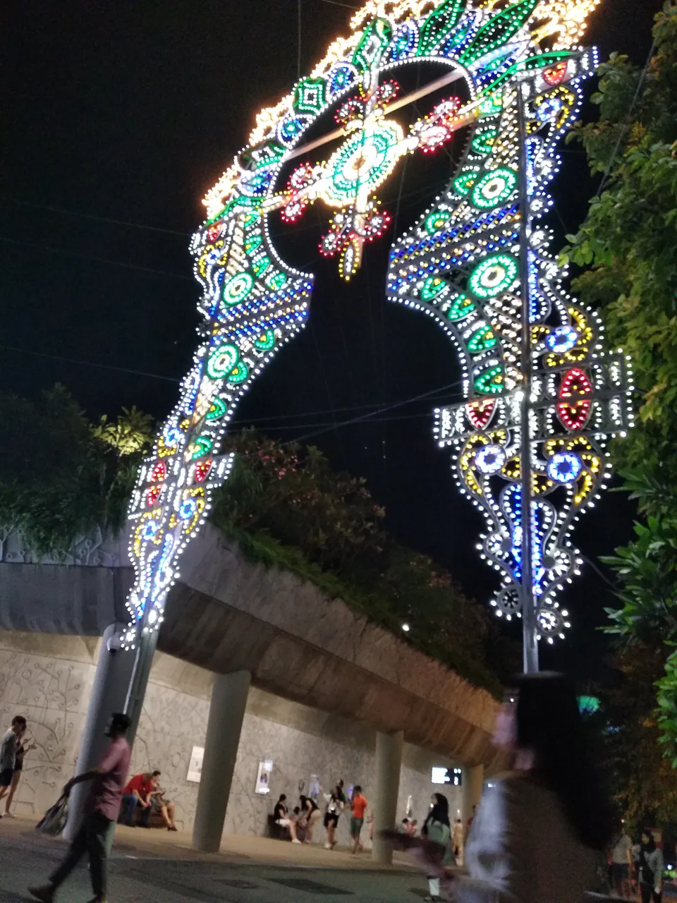 IMG_20181201_214545.jpg