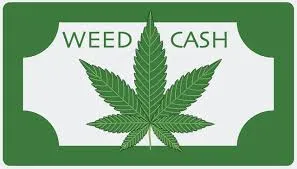 weed cash logo.jfif