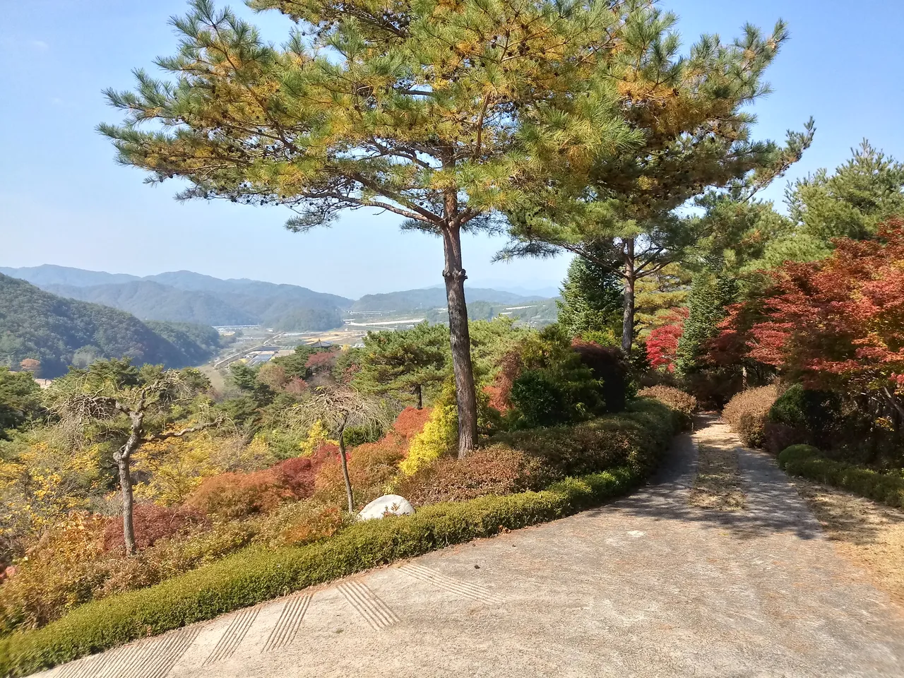 20181014_112749_HDR.jpg