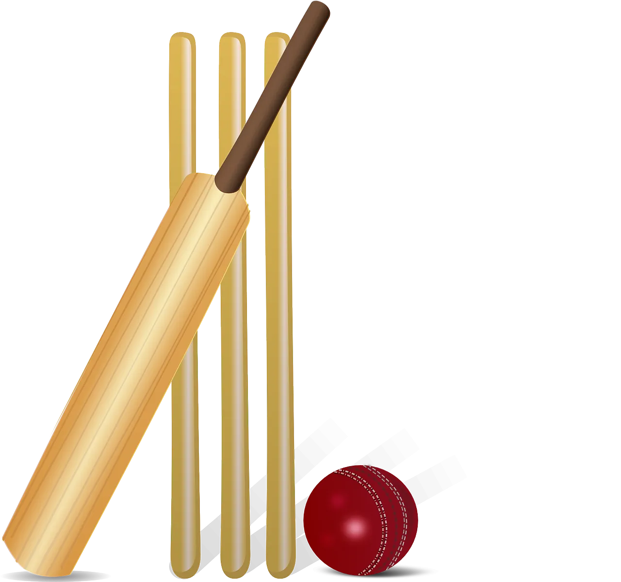 cricket-155965_1280.png