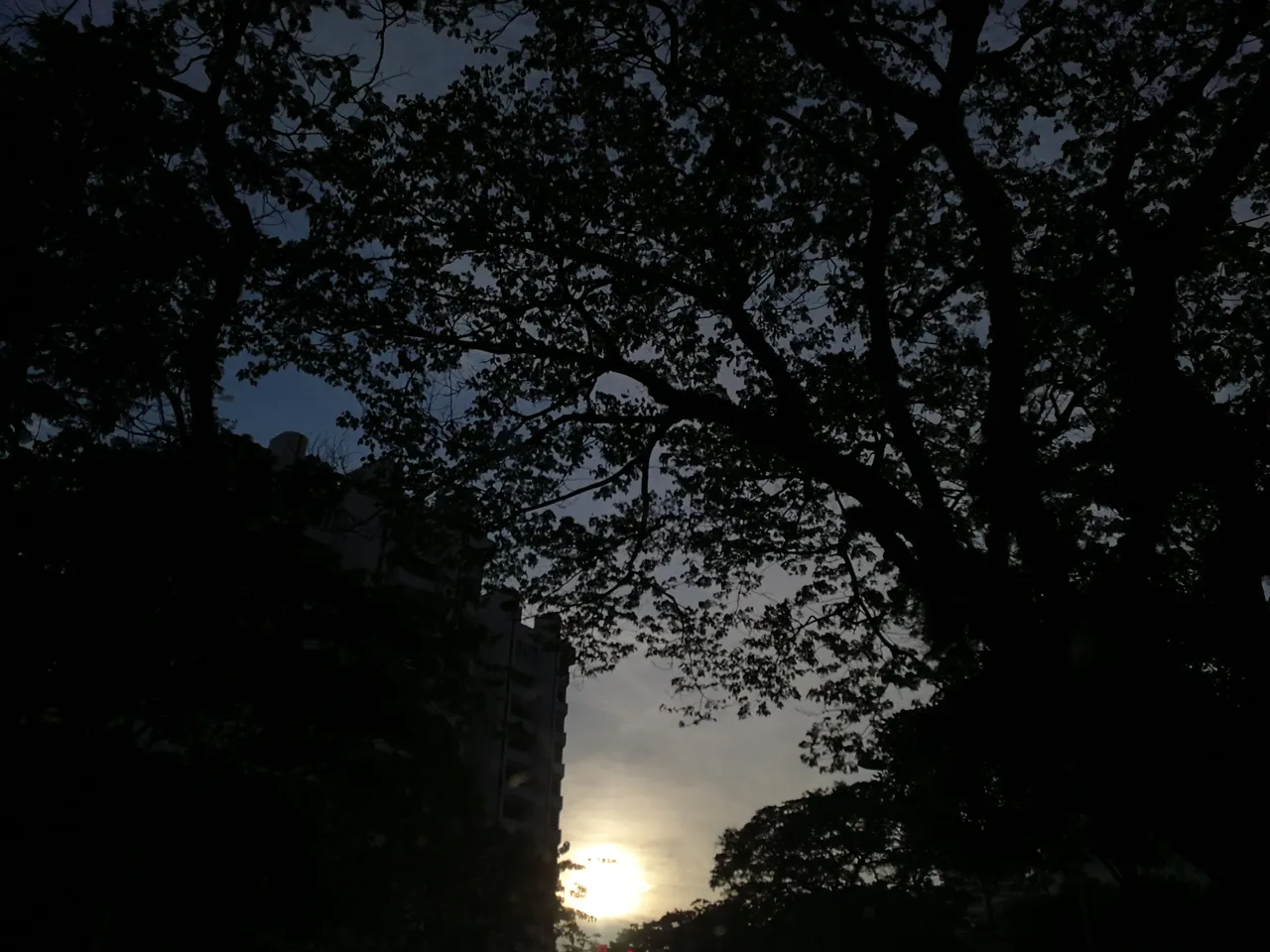 IMG_20180612_184934.jpg