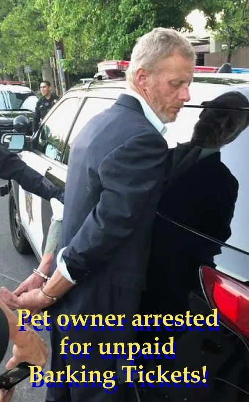 forride_doggy_dodoo.jpg