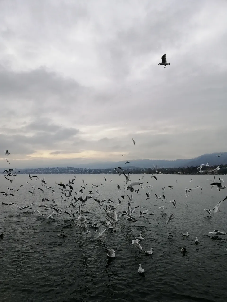 IMG_20191201_095351.jpg