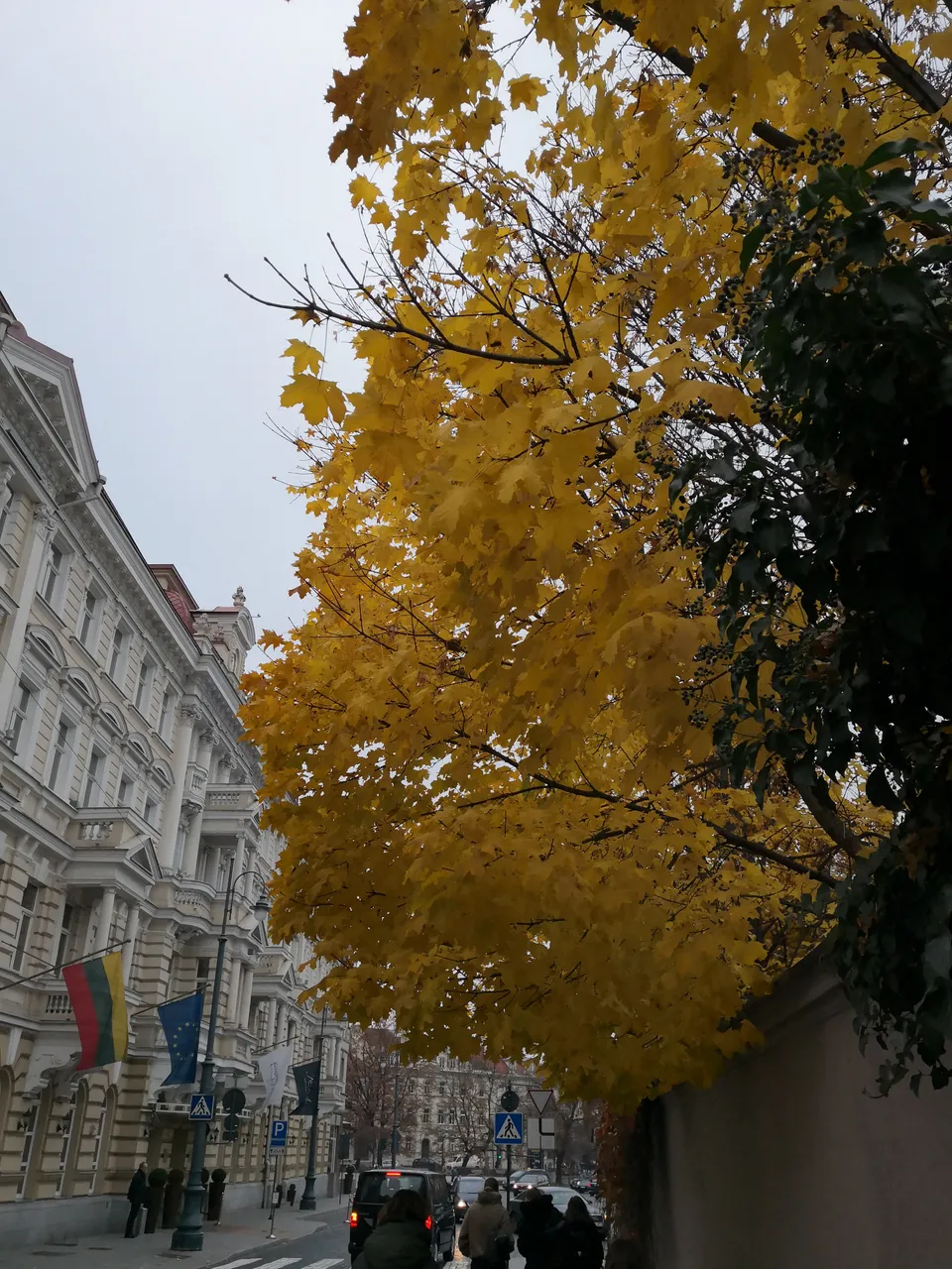 IMG_20181106_143810.jpg