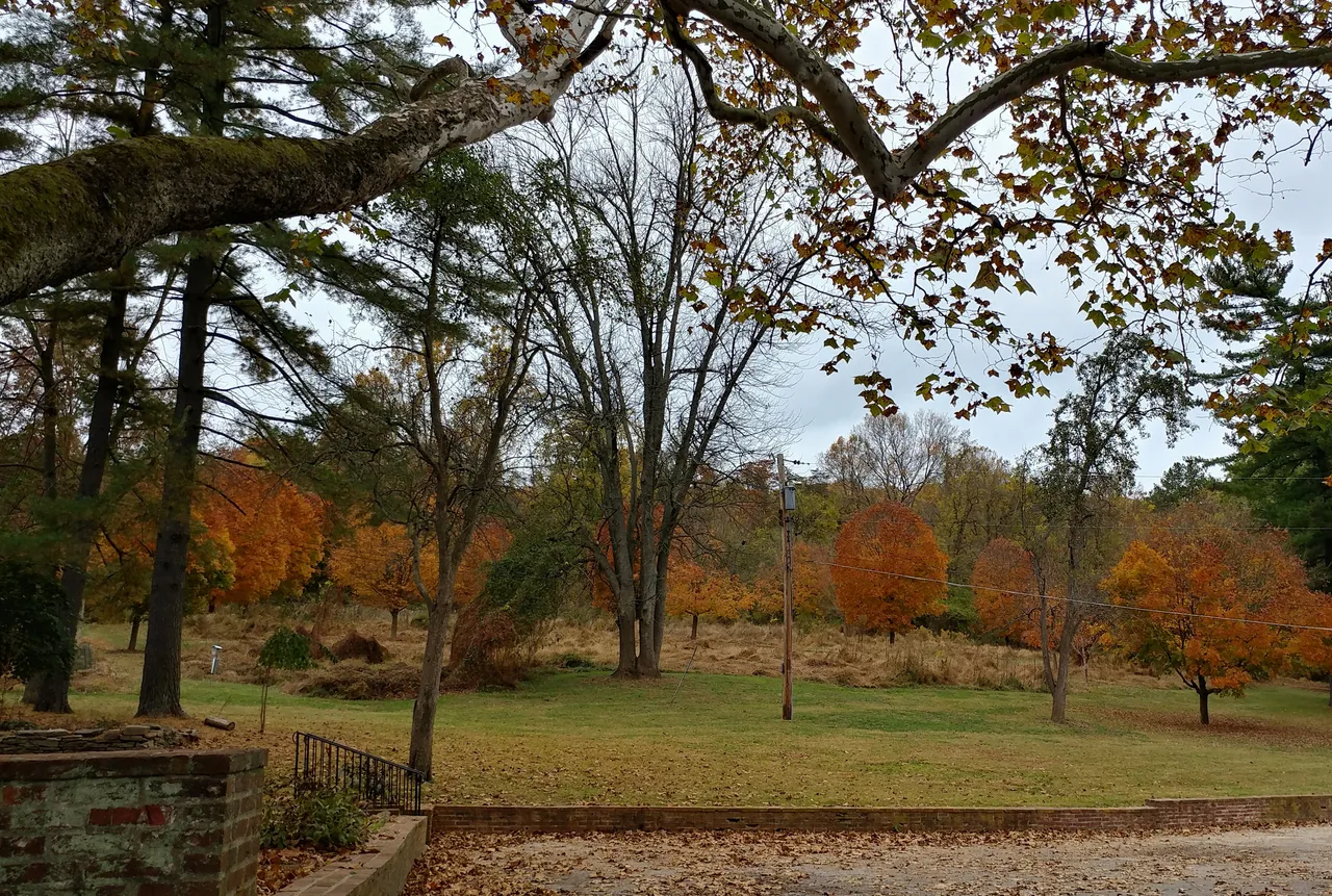 sunday11-3-2019-2ok.jpg