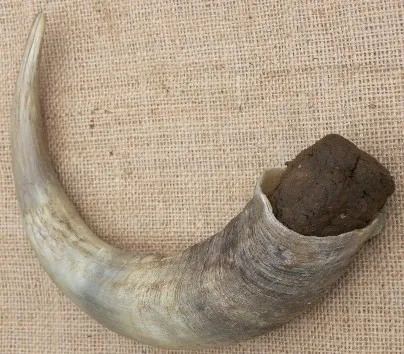 Horn Manure 500.JPG