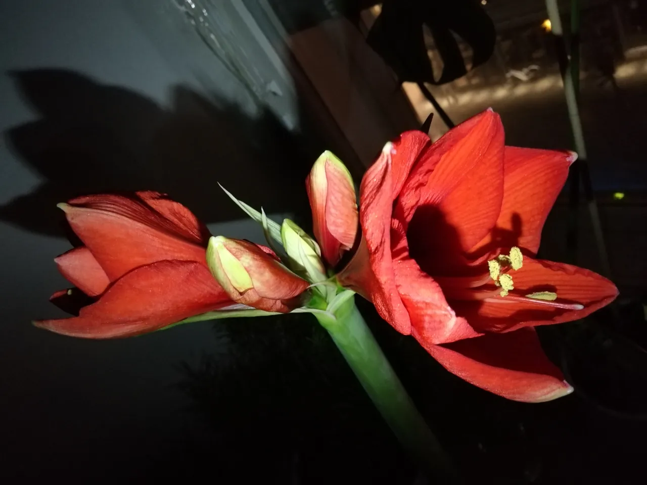 IMG_20191206_001006.jpg