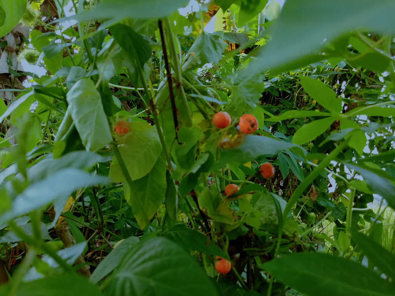2019-10-02-15-32-19.jpg