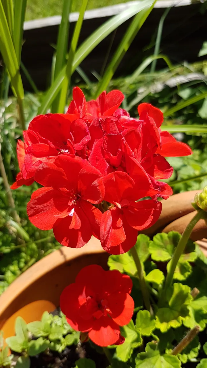 20180702_142649 2.jpg