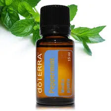 pepermint doterra.jpg