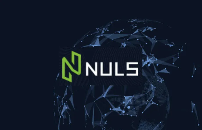 nuls-review-696x449.jpg