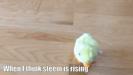 steem is rising.gif