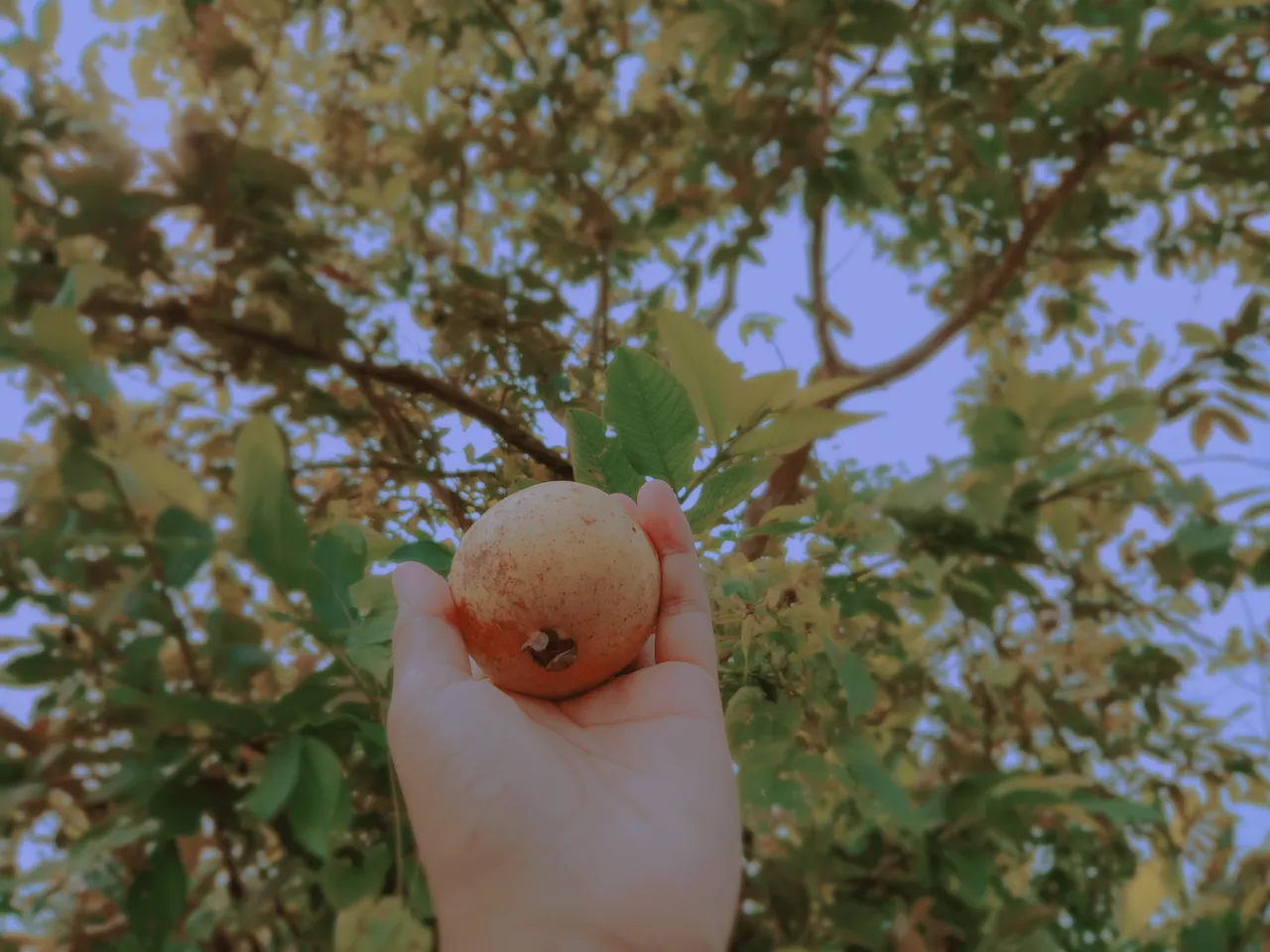 2019-09-30-16-24-49.jpg